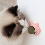 Petshop - Accesorii petshop - Jucarii animale - Jucarii interactive animale - Jucarie interactiva pentru pisicute cu minge rotativa 360° din iarba Catnip pentru curatarea dintilor, 5.5 cm, Verde - Infinity.ro