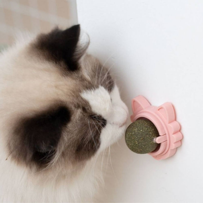 Petshop - Accesorii petshop - Jucarii animale - Jucarii interactive animale - Jucarie interactiva pentru pisicute cu minge rotativa 360° din iarba Catnip pentru curatarea dintilor, 5.5 cm, Verde - Infinity.ro