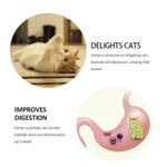 Petshop - Accesorii petshop - Jucarii animale - Jucarii interactive animale - Jucarie interactiva pentru pisicute cu minge rotativa 360° din iarba Catnip pentru curatarea dintilor, 5.5 cm, Verde - Infinity.ro