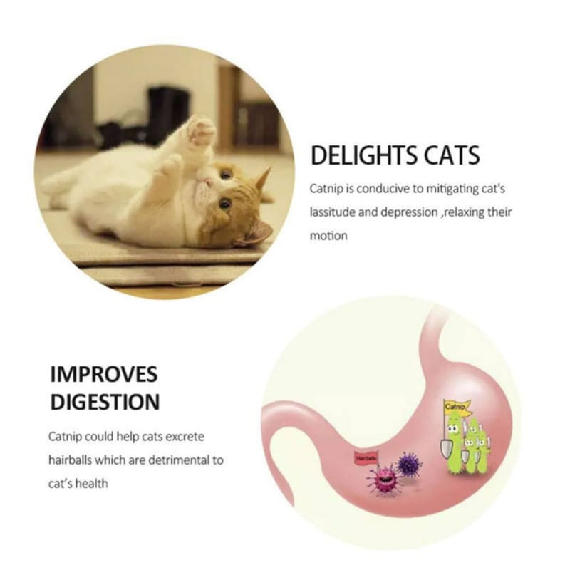 Petshop - Accesorii petshop - Jucarii animale - Jucarii interactive animale - Jucarie interactiva pentru pisicute cu minge rotativa 360° din iarba Catnip pentru curatarea dintilor, 5.5 cm, Verde - Infinity.ro