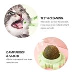 Petshop - Accesorii petshop - Jucarii animale - Jucarii interactive animale - Jucarie interactiva pentru pisicute cu minge rotativa 360° din iarba Catnip pentru curatarea dintilor, 5.5 cm, Verde - Infinity.ro