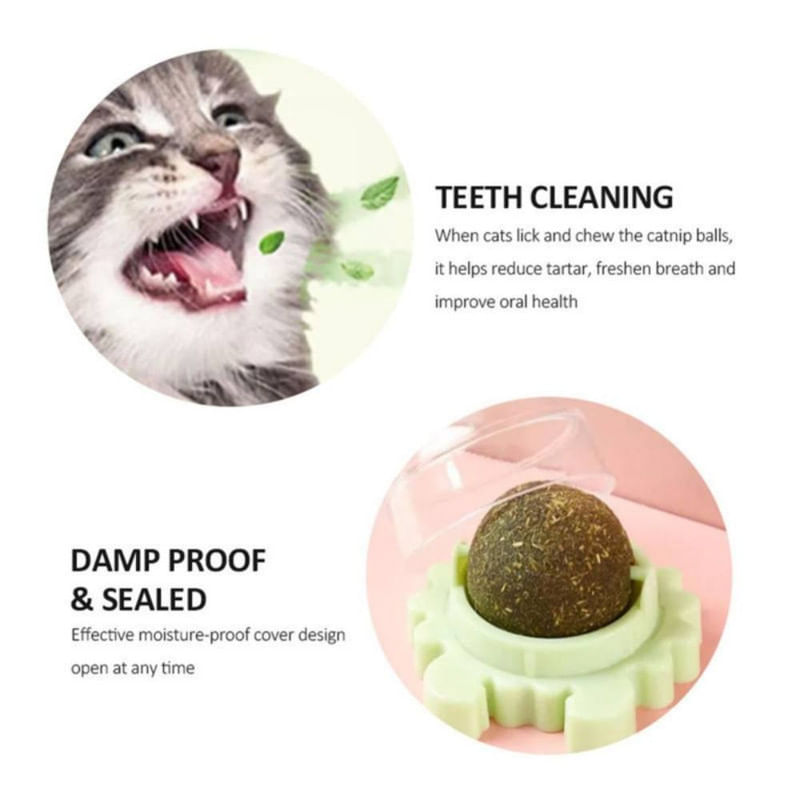 Petshop - Accesorii petshop - Jucarii animale - Jucarii interactive animale - Jucarie interactiva pentru pisicute cu minge rotativa 360° din iarba Catnip pentru curatarea dintilor, 5.5 cm, Verde - Infinity.ro