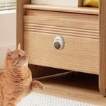 Petshop - Accesorii petshop - Jucarii animale - Jucarii interactive animale - Jucarie interactiva Model Pinguin pentru pisicute cu minge rotativa 360° din iarba Catnip, 4.3 x 6 cm, Albastru - Infinity.ro