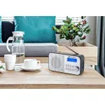 TV, Audio-Video si Foto - Portabile audio - Radio - Radio portabil GoGEN DAB 300N cu tuner DAB+ si FM, 1 W, LCD , baterie 2000 mAh - Infinity.ro