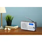 TV, Audio-Video si Foto - Portabile audio - Radio - Radio portabil GoGEN DAB 300N cu tuner DAB+ si FM, 1 W, LCD , baterie 2000 mAh - Infinity.ro