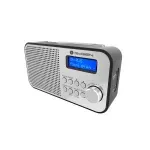 TV, Audio-Video si Foto - Portabile audio - Radio - Radio portabil GoGEN DAB 300N cu tuner DAB+ si FM, 1 W, LCD , baterie 2000 mAh - Infinity.ro
