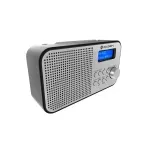 TV, Audio-Video si Foto - Portabile audio - Radio - Radio portabil GoGEN DAB 300N cu tuner DAB+ si FM, 1 W, LCD , baterie 2000 mAh - Infinity.ro