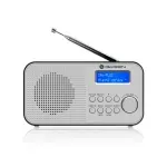 TV, Audio-Video si Foto - Portabile audio - Radio - Radio portabil GoGEN DAB 300N cu tuner DAB+ si FM, 1 W, LCD , baterie 2000 mAh - Infinity.ro