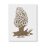 Casa si Gradina - Decoratiuni - DIY - Sabloane decorative pereti - Sablon Perete vopsire, tencuiala 0.7mm Morel Mushroom Refolosibil, model MXSP7204, 600 x 600 mm - Infinity.ro