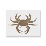 Casa si Gradina - Decoratiuni - DIY - Sabloane decorative pereti - Sablon Perete vopsire, tencuiala 0.7mm Crab model MXSP7439, 800 x 800 mm - Infinity.ro