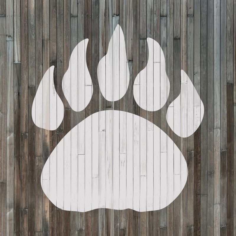 Casa si Gradina - Decoratiuni - DIY - Sabloane decorative pereti - Sablon Perete vopsire, tencuiala 0.7mm Gheara de Urs model MXSP7421, 500 x 500 mm - Infinity.ro