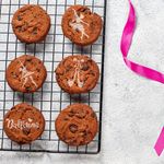 Casa si Gradina - Decoratiuni - DIY - Sabloane decorative pereti - Set 14 sabloane decorare cafea 11 si 7 cm 0.5mm Balerine model MXSP7340 - Infinity.ro