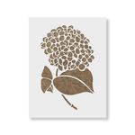 Casa si Gradina - Decoratiuni - DIY - Sabloane decorative pereti - Sablon Perete vopsire, tencuiala 0.7mm Chrysanthemum Refolosibil, model MXSP7182, 500 x 500 mm - Infinity.ro