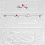 Casa si Gradina - Mobilier - Saltele si somiere - Saltele - Saltea ortopedica Best Sleep Bellise, 100x190x25cm, spuma poliuretanica cu memorie 4 cm,  hipoalergenica, reversibila - Infinity.ro