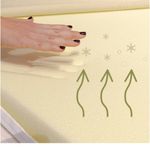 Casa si Gradina - Mobilier - Saltele si somiere - Saltele - Saltea Ortopedica, Best Sleep, Luxe Memory Aloe Vera, 170X190x25 cm, spuma  cu memorie cu infuzie de aloe vera - Infinity.ro