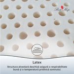Casa si Gradina - Mobilier - Saltele si somiere - Saltele - Saltea ortopedica BEST SLEEP Latex Lux, 105x190x23cm, cu latex si fibre de cocos, hipoalergenic, ferma - Infinity.ro