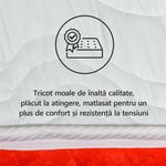 Casa si Gradina - Mobilier - Saltele si somiere - Saltele - Saltea ortopedica BEST SLEEP Diamond Red DoubleSide, 90x190x22, spuma poliuretanica, hipoalergenica, reversibila, ferma - Infinity.ro