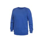 Fashion, accesorii si bijuterii - Barbati - Imbracaminte - Tricouri si bluze barbati - Bluza cu maneca lunga MOSCOW-100% bumbac, Palltex Albastru XL - Infinity.ro