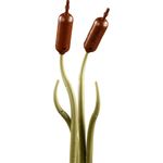 Jucarii, Copii si Bebe - Jucarii si jocuri - Seturi de constructie si cuburi - Seturi de constructie - Lego Icons Pescaras 10331 - Infinity.ro