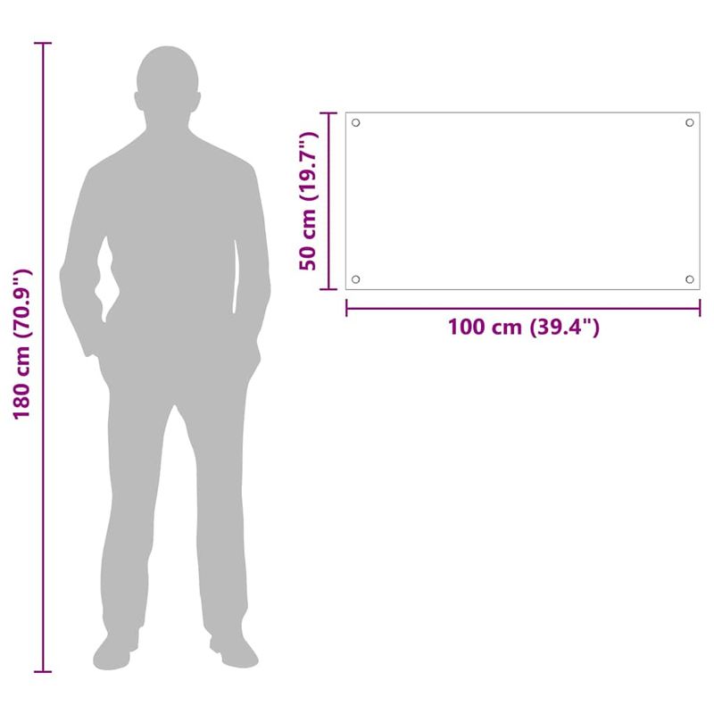 Casa si Gradina - Sanitare - Chiuveta bucatarie si accesorii - Accesorii chiuvete - Spate de bucatarie Transparent 100 x 50 x 0.8 cm - Infinity.ro