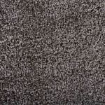 Casa si Gradina - Textile si covoare - Covoare - Covoare casa - Covoras de intrare Gri deschis 40 x 60 cm Tesatura Teddy - Infinity.ro