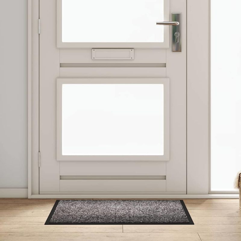 Casa si Gradina - Textile si covoare - Covoare - Covoare casa - Covoras de intrare Gri deschis 60 x 80 cm Tesatura Teddy - Infinity.ro