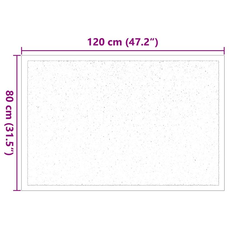 Casa si Gradina - Textile si covoare - Covoare - Covoare casa - Covoras de intrare Negru 80 x 120 cm Tesatura Teddy - Infinity.ro