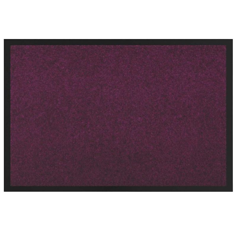 Casa si Gradina - Textile si covoare - Covoare - Covoare casa - Covoras de intrare Bordo 80 x 120 cm Tesatura Teddy - Infinity.ro