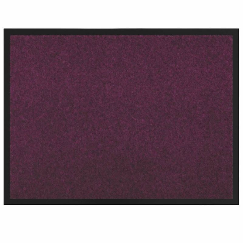 Casa si Gradina - Textile si covoare - Covoare - Covoare casa - Covoras de intrare Bordo 60 x 80 cm Tesatura Teddy - Infinity.ro
