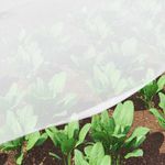 Casa si Gradina - Gradinarit si plante - Plante si ghivece - Bulbi, seminte si rasaduri - Retea Impotriva Insectelor Alb 2 x 25 m HDPE - Infinity.ro