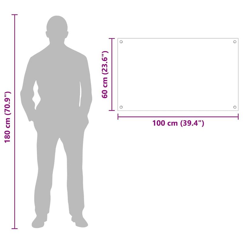 Casa si Gradina - Sanitare - Chiuveta bucatarie si accesorii - Accesorii chiuvete - Spate de bucatarie Transparent 100 x 60 x 0.8 cm - Infinity.ro