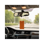 Auto si Moto - Intretinere auto - Odorizante auto - Odorizant auto Areon X Card, Coconut - Infinity.ro