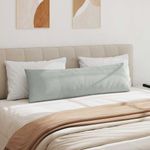 Casa si Gradina - Textile si covoare - Perne si pilote - Perne decorative - Perne pentru canapea 2 pcs Gri deschis 145 x 40 cm - Infinity.ro