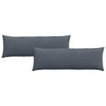 Casa si Gradina - Textile si covoare - Perne si pilote - Perne decorative - Perne pentru canapea 2 pcs Gri inchis 120 x 40 cm - Infinity.ro