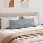 Casa si Gradina - Textile si covoare - Perne si pilote - Perne decorative - Perne pentru canapea Gri deschis tesatura - Infinity.ro