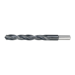 Casa si Gradina - Constructii - Scule electrice si accesorii - Seturi si accesorii pentru gaurit si insurubat - Burghie cilindrice cu coada redusa pentru metal DIN 338, tip N, 118,DIM 17.0 - Infinity.ro
