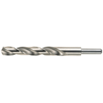 Casa si Gradina - Constructii - Scule electrice si accesorii - Seturi si accesorii pentru gaurit si insurubat - Burghie cilindrice scurte pentru metal DIN 338, tip N, 118, DIM 11.00 - Infinity.ro