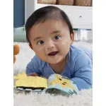 Jucarii, Copii si Bebe - Jucarii si jocuri - Jucarii bebelusi - Jucarii interactive bebelusi - Fisher Price Jucarie Senzoriala 2 In 1 Tummy Time Vidra Pentru Bebelusi - Infinity.ro