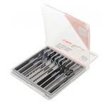 Casa si Gradina - Constructii - Scule electrice si accesorii - Scule multifunctionale si accesorii - Set 10 lame diferite utilizari pentru ferastraie tip pendular TA1037 TAGRED - Infinity.ro