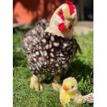 Jucarii, Copii si Bebe - Jucarii si jocuri - Jucarii de plus - Jucarie Pui de plus 12cm nat geo - Infinity.ro