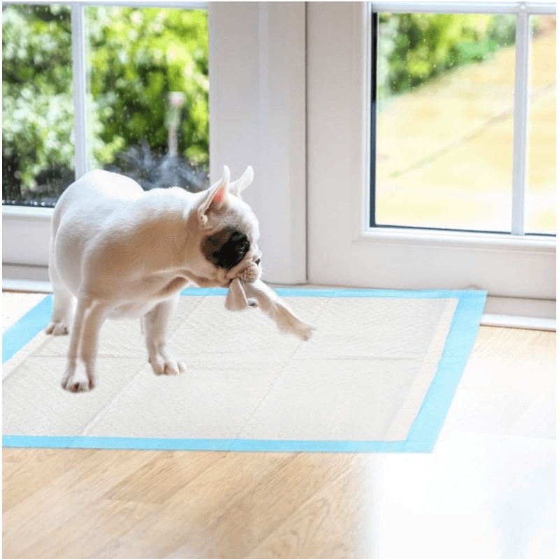 Petshop - Ingrijire si Igiena - Asternuturi si substraturi - Asternuturi igienice - Covorase Igienice Absorbante pentru Animale de Companie –  Confort si Curatenie, 50 buc, 45x60 cm - Infinity.ro