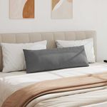 Casa si Gradina - Textile si covoare - Perne si pilote - Perne decorative - Perne pentru canapea 2 pcs Gri inchis 120 x 40 cm tesatura - Infinity.ro