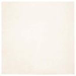 Casa si Gradina - Textile si covoare - Covoare - Covoare casa - Covor din Blana Faux de Iepure Alb 200 x 200 cm Poliester - Infinity.ro