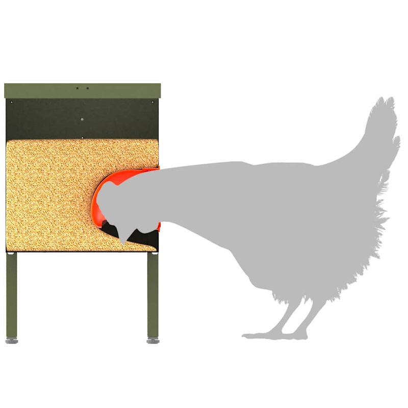 Petshop - Accesorii petshop - Castroane si adapatori - Feeder pentru pui 2 pcs Verde masliniu 41,5 x 20,5 x 33 cm - Infinity.ro