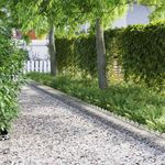 Casa si Gradina - Gradina si terasa - Garduri, panouri si accesorii - Borduri pentru gazon 20 pcs Argintiu 103 x 0,05 x 22 cm - Infinity.ro