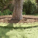 Casa si Gradina - Gradina si terasa - Garduri, panouri si accesorii - Borduri pentru gazon 20 pcs Argintiu 103 x 0,05 x 22 cm - Infinity.ro