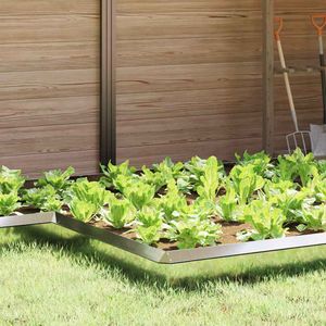 Casa si Gradina - Gradina si terasa - Infinity.ro