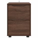Casa si Gradina - Mobilier - Dulapuri si sifoniere - Dulapuri - Dulap de depozitare Stejar inchis 40 x 48 x 57 cm Lemn compozit - Infinity.ro