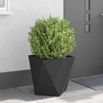 Casa si Gradina - Gradinarit si plante - Plante si ghivece - Ghivece si suporturi - Jardiniera Negru 50 x 50 x 50 cm Otel - Infinity.ro