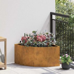 Casa si Gradina - Gradinarit si plante - Plante si ghivece - Infinity.ro